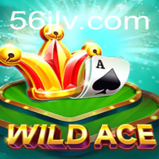 Exploring the Thrills of WildAce: A Complete Guide